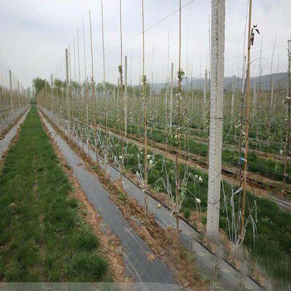 防草布
